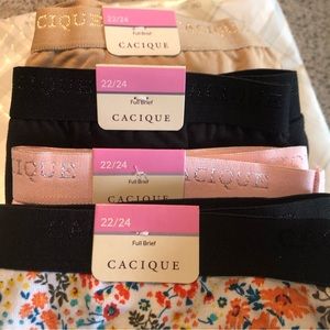 NWT Cacique full brief 22/24